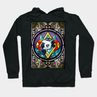 Altare Secretum: Rarity Hoodie